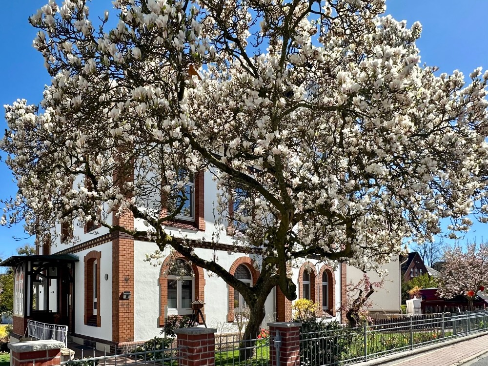 Historische Altstadt Rinteln im Weserbergland
